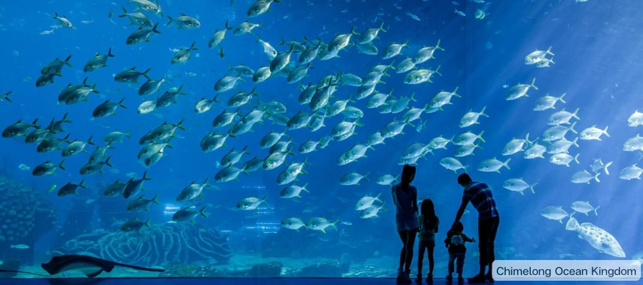 🐋✨ เปิดประสบการณ์ใหม่กับ “การแสดงแสงสีเหนือมหาสมุทร” ณ ฉางหลงรีสอร์ท จูไห่